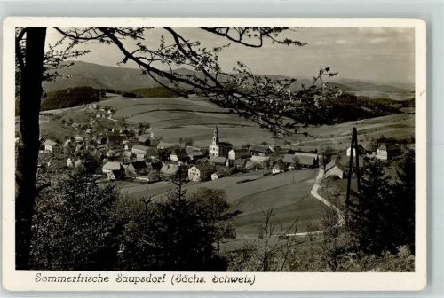 Saupsdorf Rückseite mit Abschürfungen bzw Kleberesten