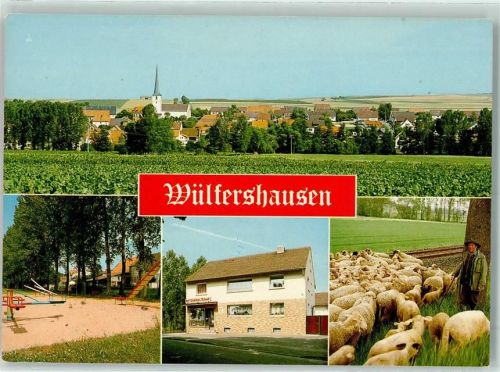 Wülfershausen Schäfer mit Schafen