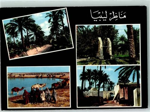 Views of Libya
