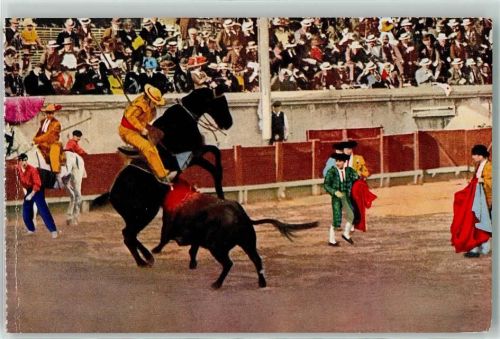 Stierkampfarena Picador