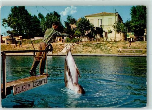 Cesenatico Delfin Aquarium Ceseatico