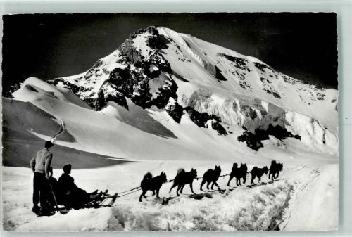 Jungfraujoch Polarhunde in der Schweiz Hundeschlitten