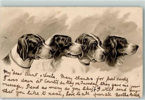 1904 Lithographie AK
