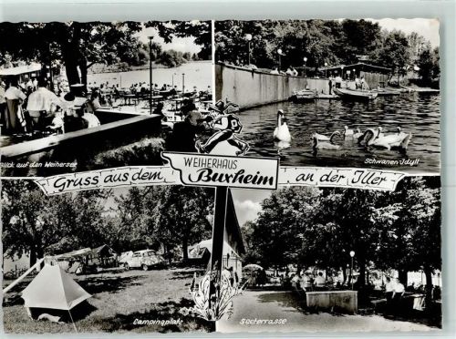 Buxheim Weihersee Schwäne Campingplatz Seeterrasse
