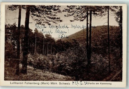 16259 O1312 Falkenberg , Mark - Partie am Kammweg