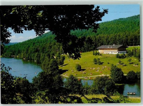 Thurmansbang Hotel Dreiburgensee Strandwiese