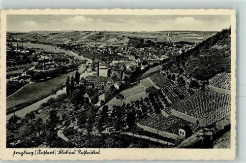 06632 O4805 Freyburg Unstrut - Unstruttal Weinreben