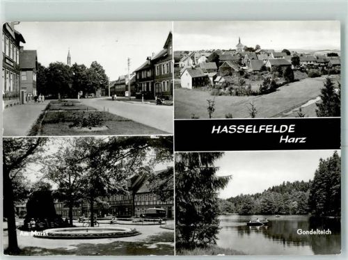 Hasselfelde Gondelteich Markt