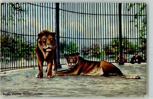 Basel Zoo