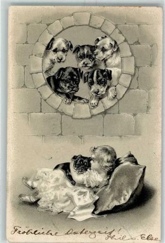 1901 Mädchen mit kleine Hunde AK