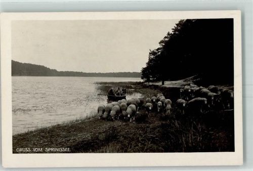 Limsdorf Springsee Schafe Ruderboot