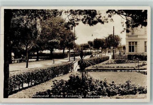 Ahlbeck Kuranlagen Dünenstraße Palme