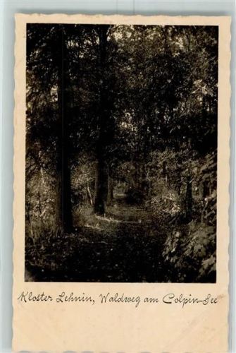 Lehnin Kloster Waldweg am Colpin See