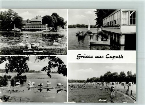 Caputh Gasthaus Fährhaus Templiner See Schwäne Seebad Badestrand