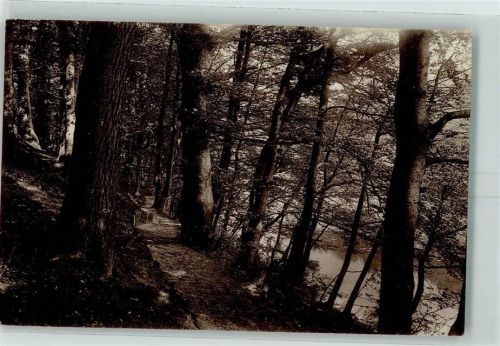 Friedrichsruh Sachsenwald