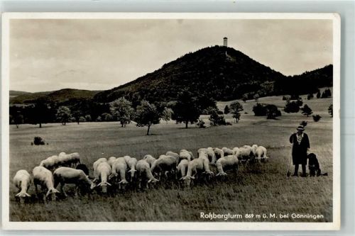 Gönningen Schafherde Schäfer mit Hund Roßbergturm