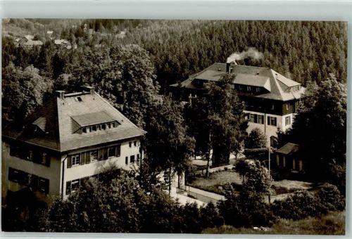 Bärenfels