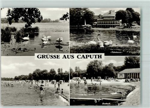 Caputh Fährhaus Seebad Schwäne