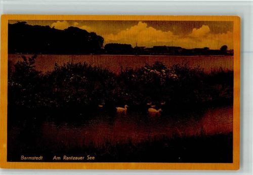 Barmstedt am Rantzauer See Enten
