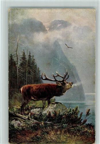 1900 Serie 844 Haar- und Federwild - Hirschbrunft - Jagdtiere