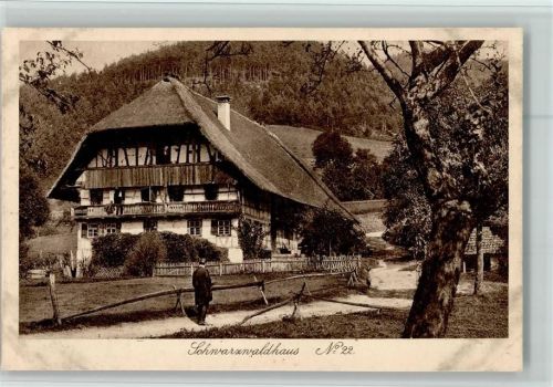 Schwarzwaldhäuser Nr. 22 AK