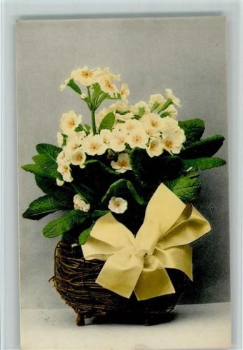 1907 Nr. 654 - Blumen im Korb , gute Erhaltung