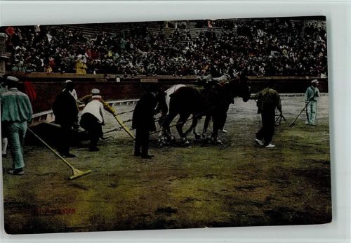 Toter Stier wird aus der Arena gezogen AK Gute Erhaltung