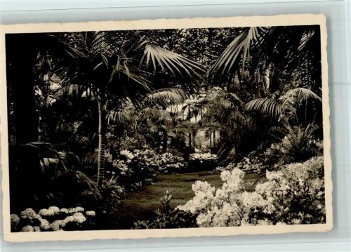 W7000 Bad Cannstatt Wintergarten Wilhelmina AK Gartenbau 1942 Foto AK