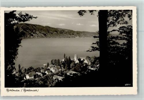 Bodman Teilansicht Bodensee