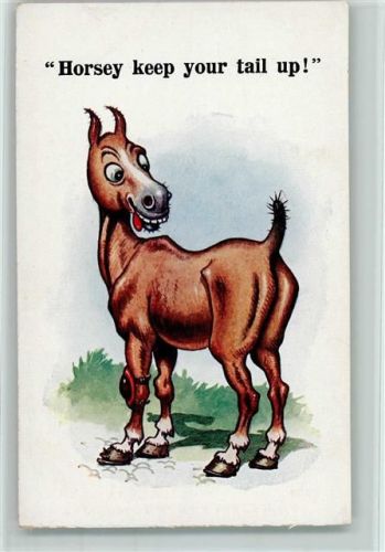 Comique Serie Nr. 4998 - Florence House , gute Erhaltung