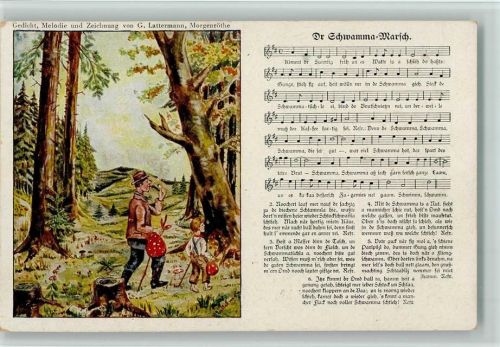 Verlag Wilhelm Vogel Nr. 20 - Pilze sammeln - sign Lattermann