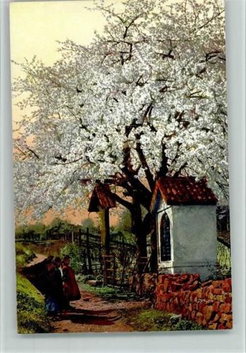 Serie 143 Nr. 2696 - Obstblüte in Tirol, Wegekreuz - gute Erhaltung AK