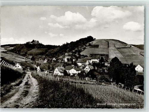 Durbach Hespengrund Weinberge