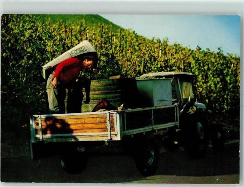 Ancy-sur-Moselle 1973 La Moselle Weinlese AK