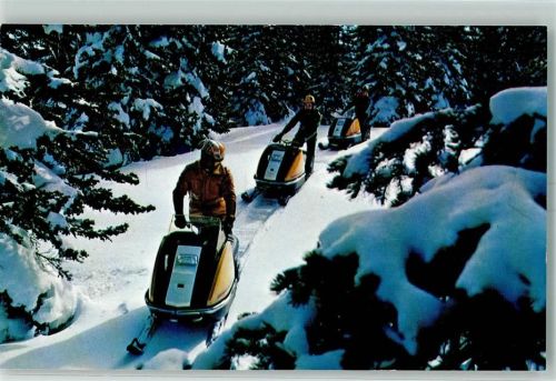 Motorschlitten AK