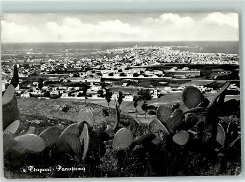 Trapani Feigenkaktus