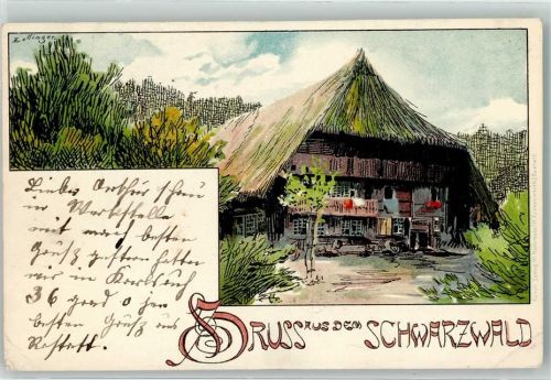 1903 Gruss aus dem Schwarzwald, sign. Zollinger - Schwarzwaldhaus Lithographie