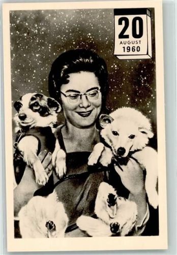 1961 Die ersten Hunde im Weltraum