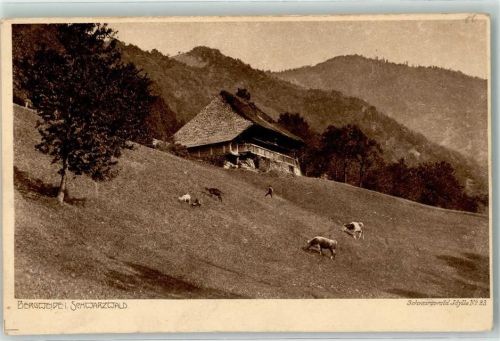Schwarzwald Idylle Nr. 23 Bergweide Bauernhaus