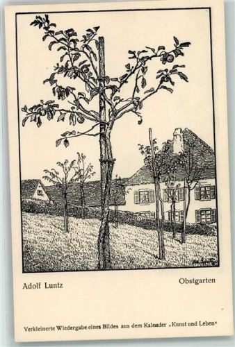 sign. Adolf Luntz Obstgarten AK