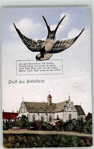 Dettelbach Schwalbe über Wallfahrtskirche Maria im Sand