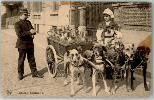 Hundekarren Milchträgerin Polizist