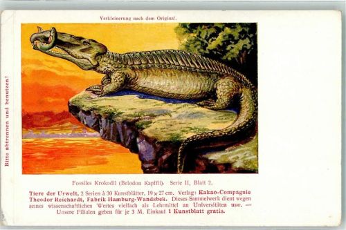 Wandsbek Fossiles Krokodil Serie II Blatt 2 Tiere der Urwelt Werbung Kakao Reichardt