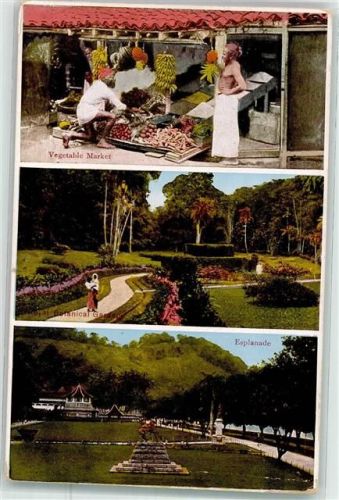 Peradeniya Vegetable Market Royal Botanical Garden Esplanade Ort lt. Recherche
