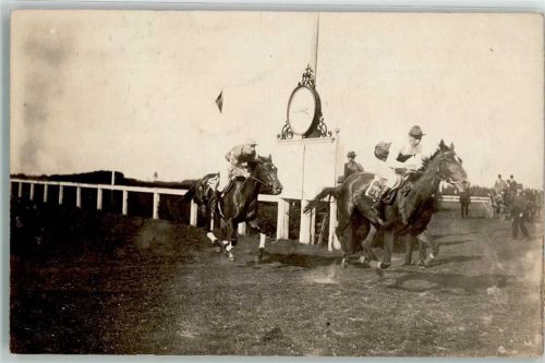 Riem 1921 Rennpferde