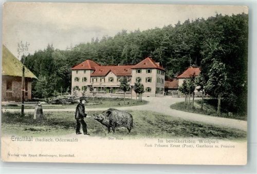 Ernsttal 1908 Gasthaus Zum Prinzen Ernst mit Wildschwein