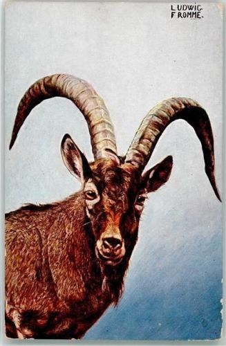 Verlag TSN Serie 612 Ziegenbock Fromme, L.