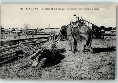 Chennai bei der Arbeit