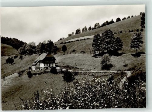 Wieden Pension Gutmann