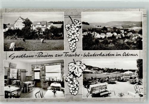 Winterkasten Gasthaus Pension zur Traube